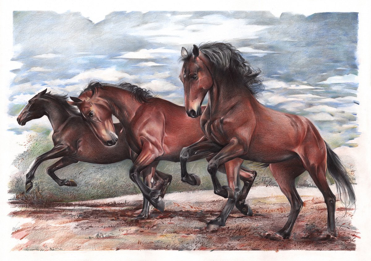 Photorealistic Animal Pencil Drawing By Daria Maier, 28 X 20, Running Horses, Original Artwork