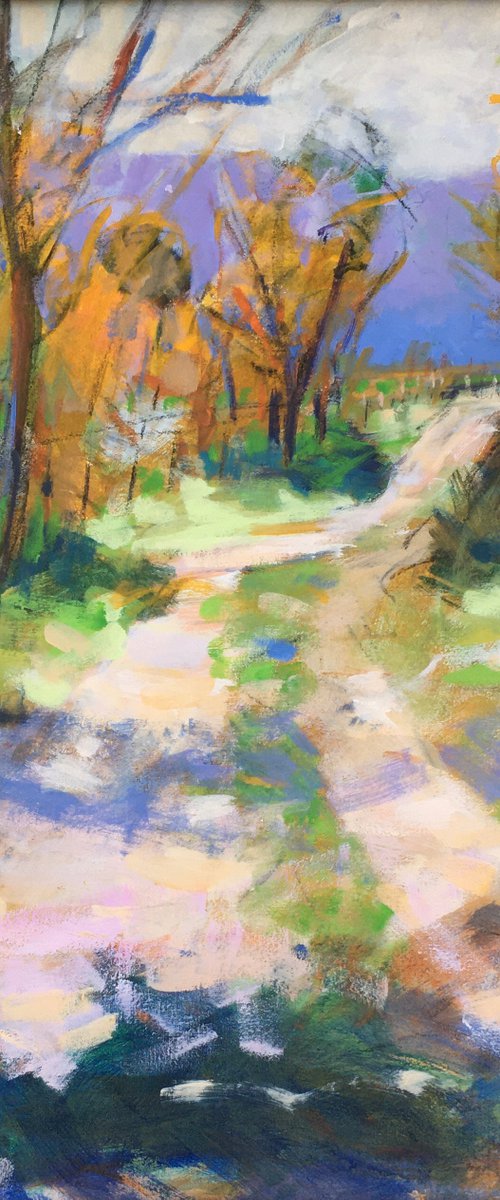 Into Sunlight, Glenbranter by Chrissie Havers