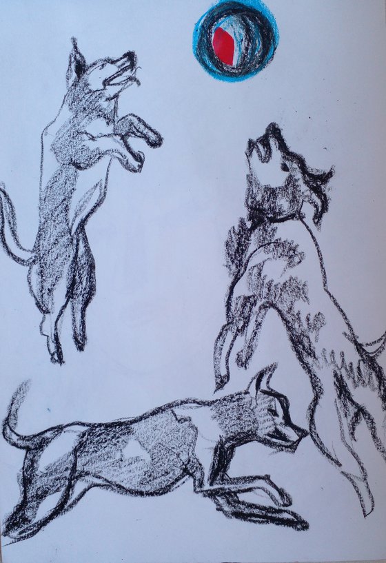 Happy Dog sketch 1