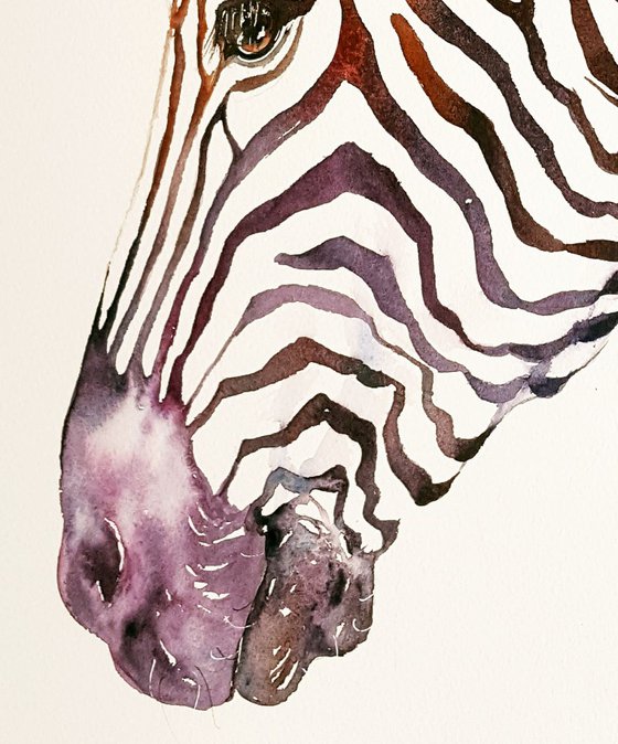 Purple Garnet_Zebra
