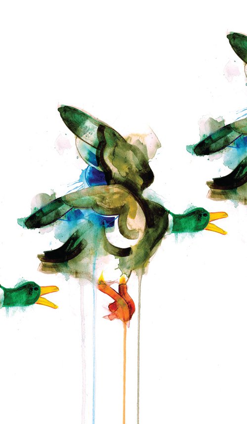 Three Flying Ducks by Gavin Dobson