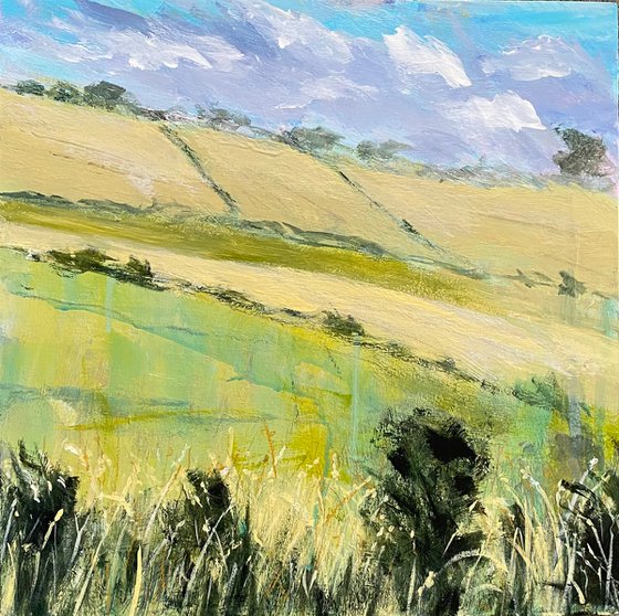 Hot Summer Fields