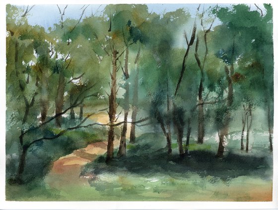 Forest Light