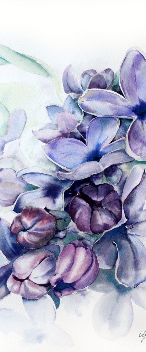 Lilac flowers by Olga Koelsch