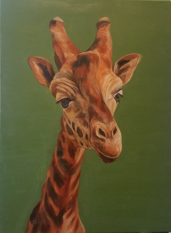 Giraffe