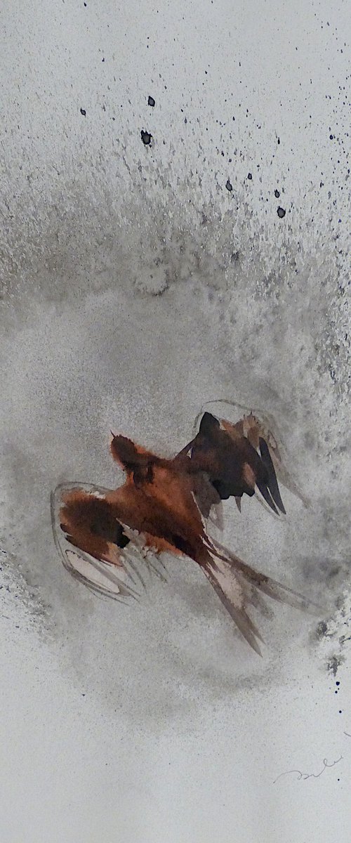 The Flying Bird 1, 29x41 cm by Frederic Belaubre