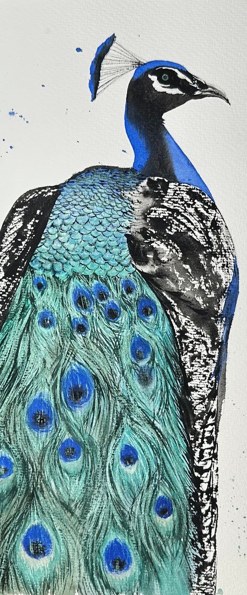 The peacock by Yuliia Sharapova