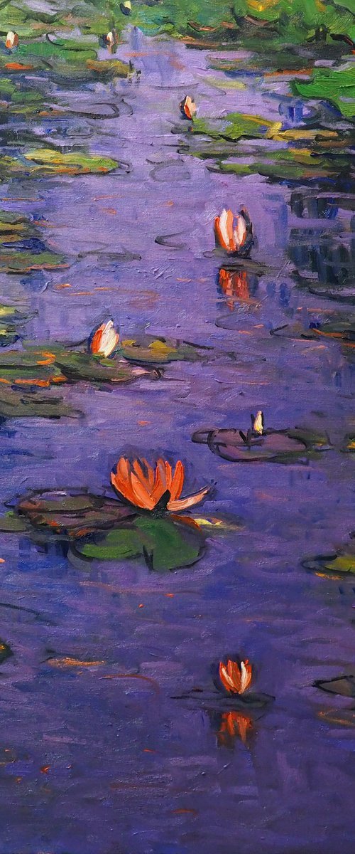 Water lilies at dusk by Yuanyuan Liu
