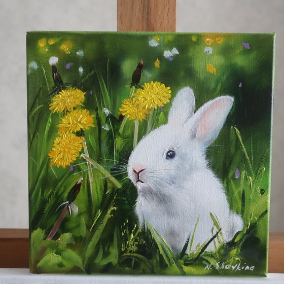 White Rabbit in Dandelions