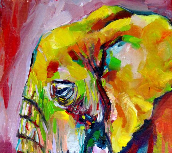 Colorful elephant