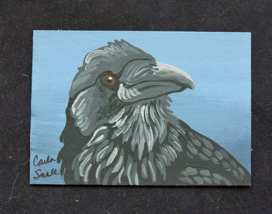 Crow Raven