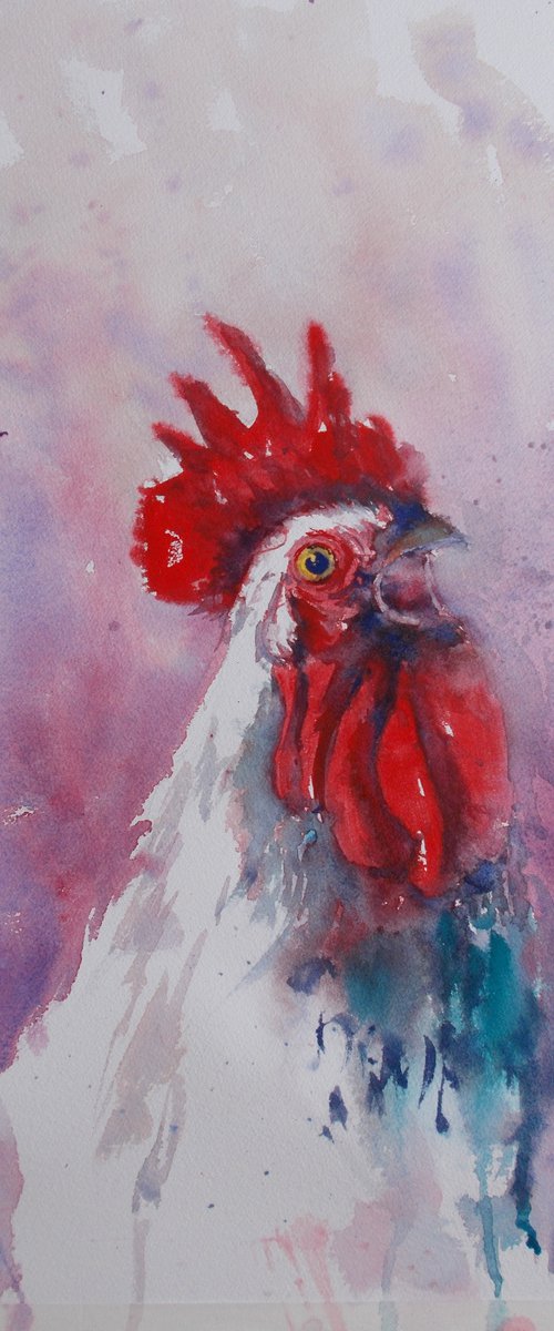 rooster 9 by Giorgio Gosti