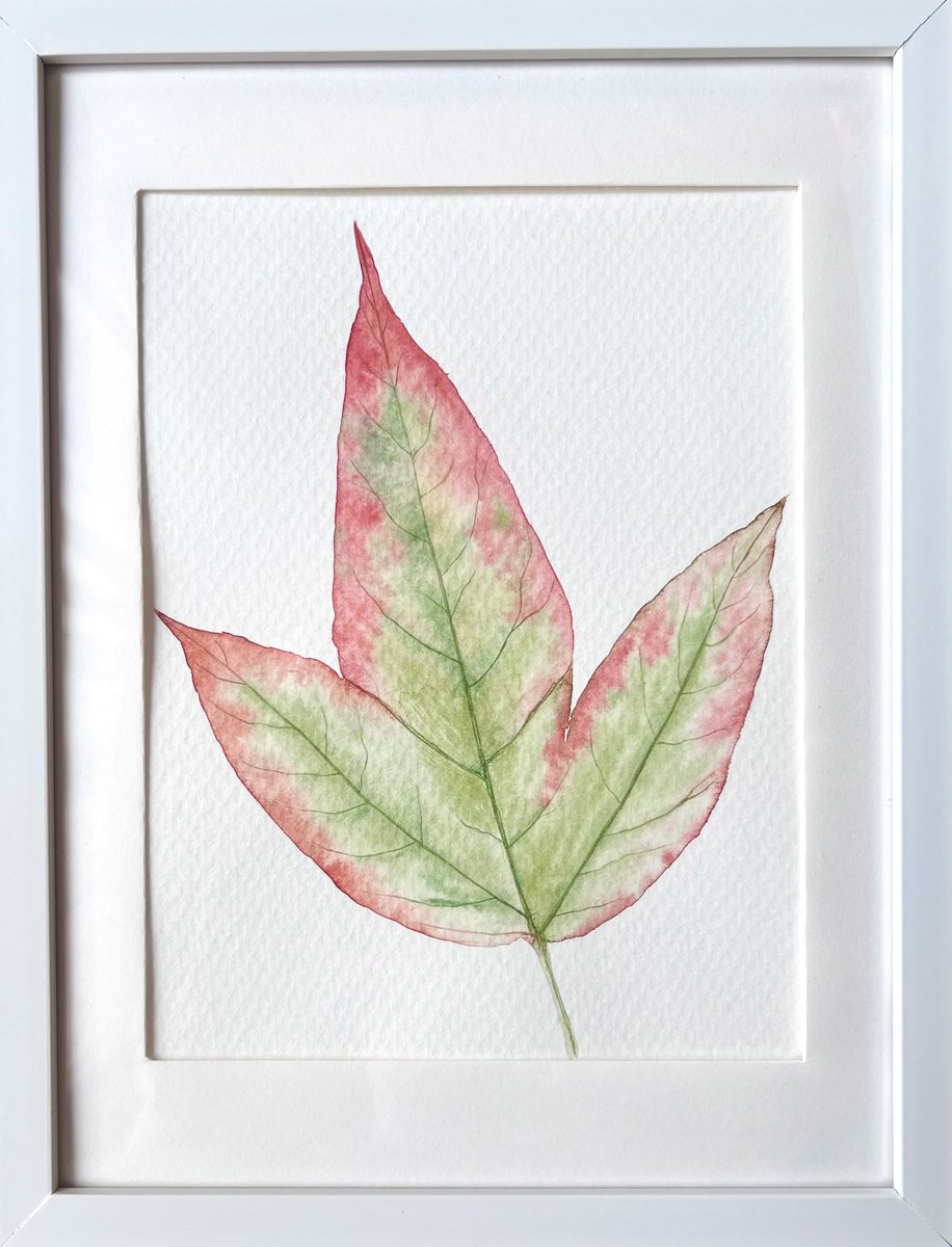 Graphic Botanical Watercolour By Tetiana Kovalova, 8 X 10", Autumn Leaf Sketch #3, Original Artwork