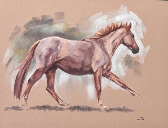 Chestnut Horse Study 2