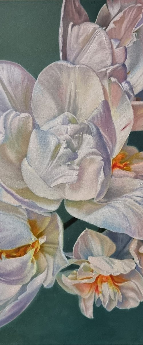 "And again the dance of silk petals."  tulip flower 2022 by Anna Bessonova (Kotelnik)
