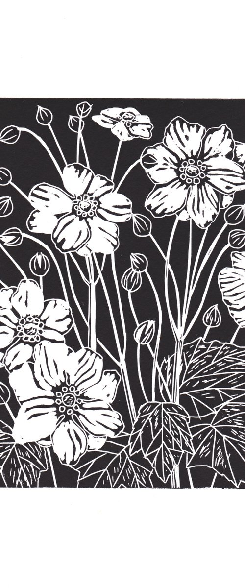Japanese Anemones - Black by Rory O’Neill