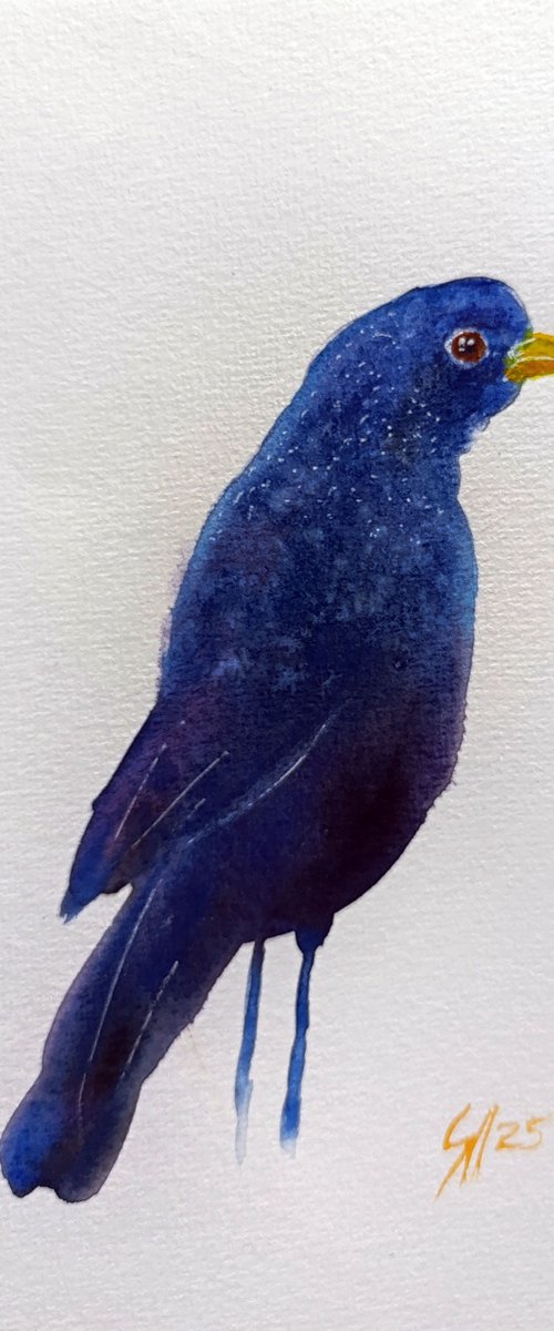 Blue bird I by Salana Art / Svetlana Samovarova