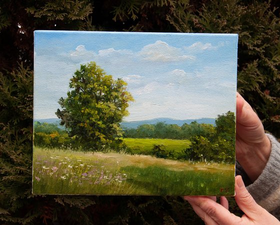 Summer landscape. Oil painting. Original Art. 10 x 8