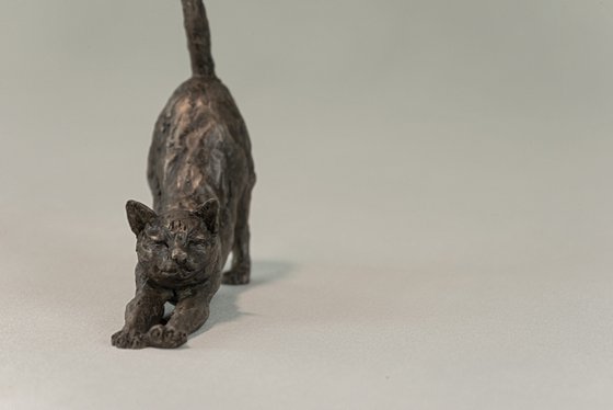 Stretching Cat Bronze