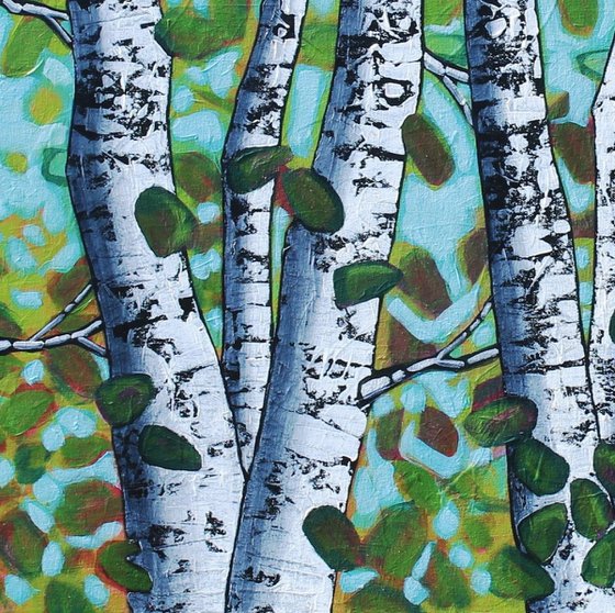 Birch Forest Light