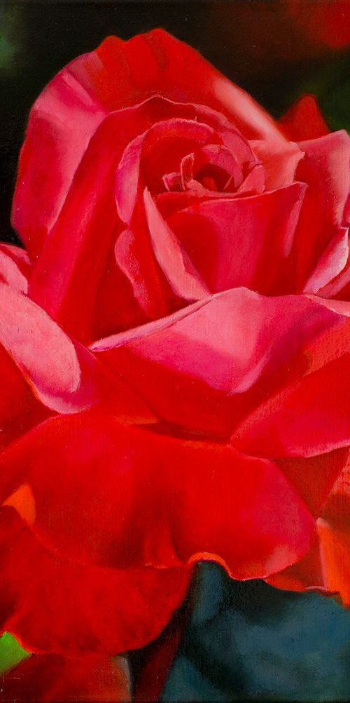 Unusual rose by Anna Bessonova (Kotelnik)