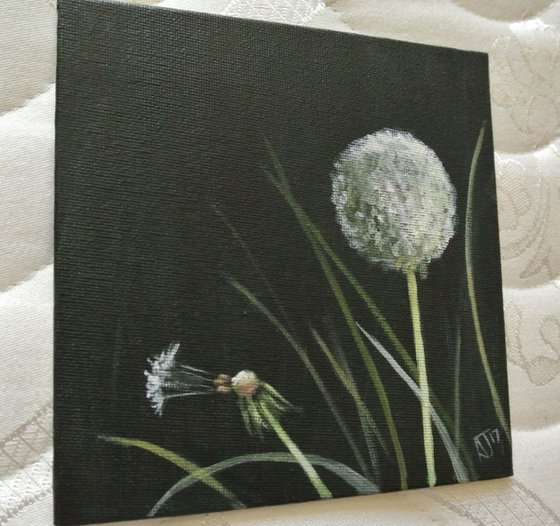 Dandelion Oil Painting 1