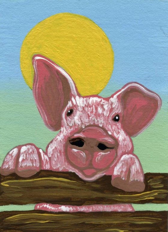 ACEO ATC Original Miniature Painting White Pig Farmyard Art-Carla Smale