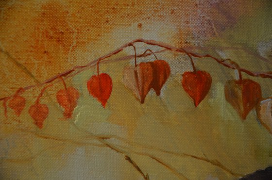 Physalis
