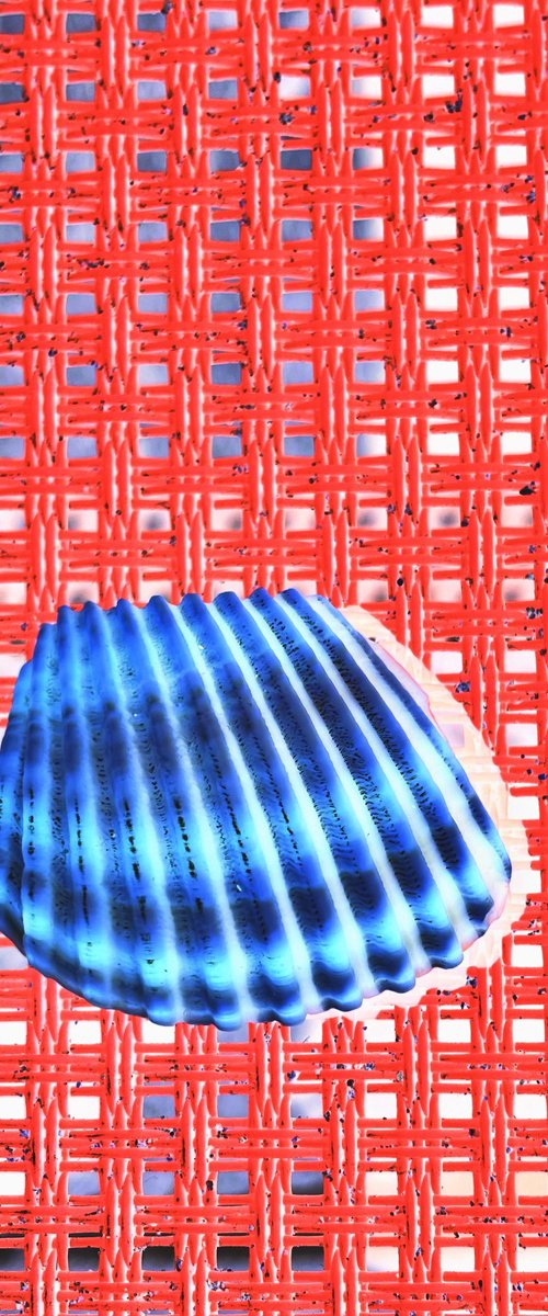 ABC#201 Simple Shell by Mattia Paoli