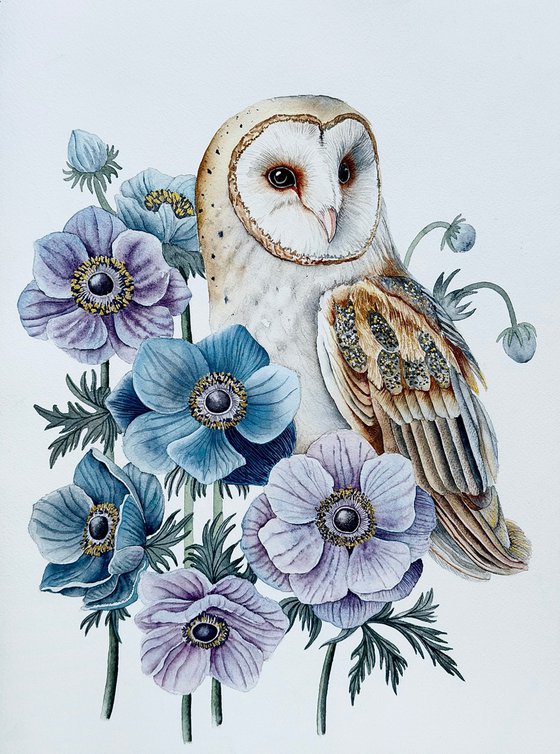 Barn Owl with Anemones