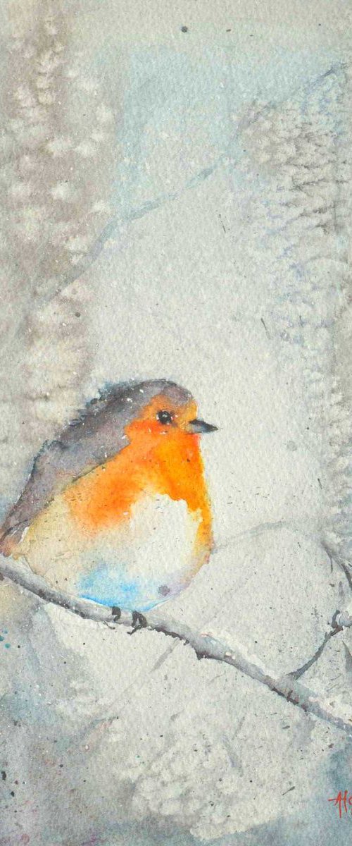 Winter Robin by andrew hodgson