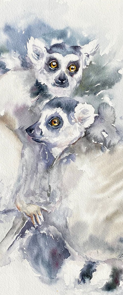 Ring-tailed Pals by Arti Chauhan