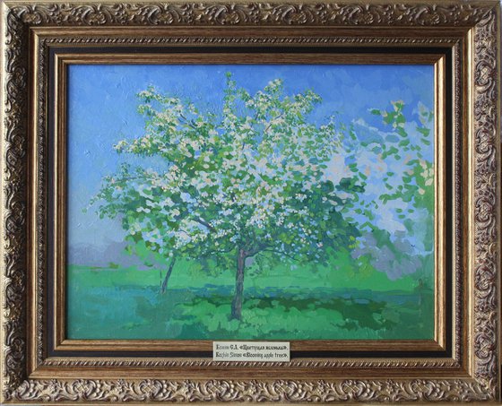 Blooming apple tree