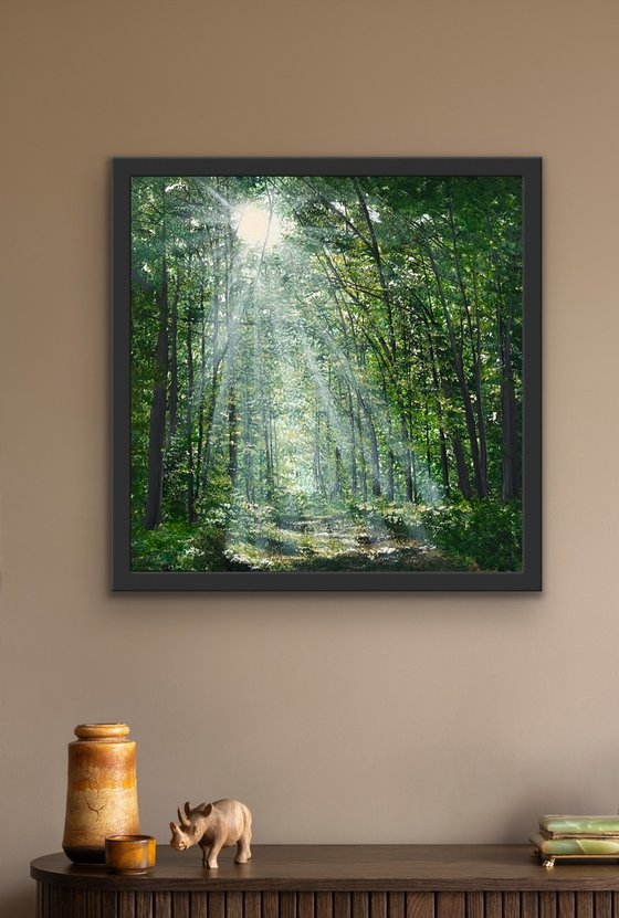 Where The Light Finds You