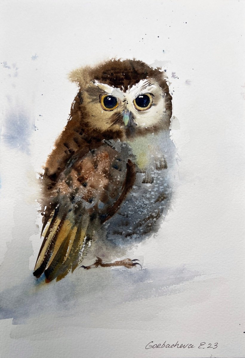 Little owl by Eugenia Gorbacheva