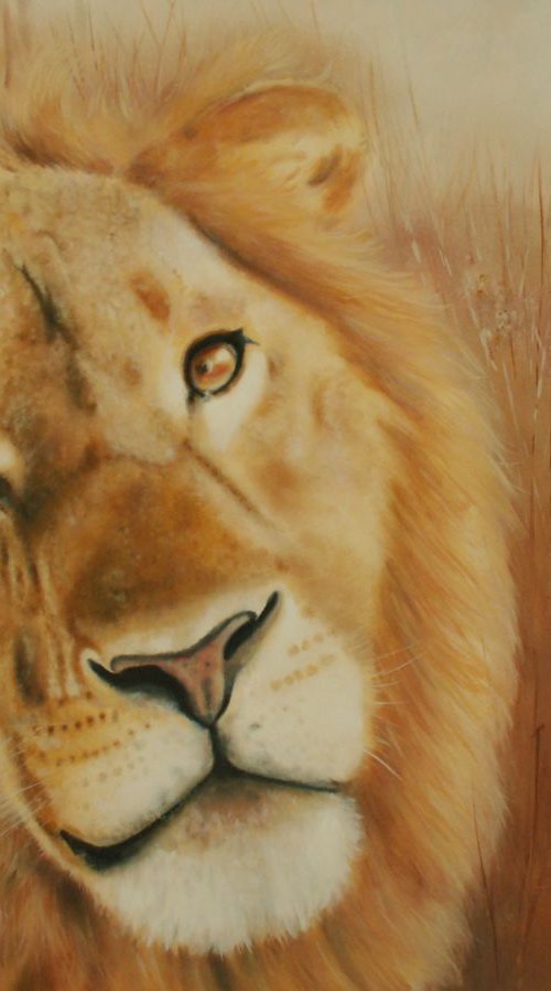 Lion, I wonder what's for lunch by Mel Davies Original Art