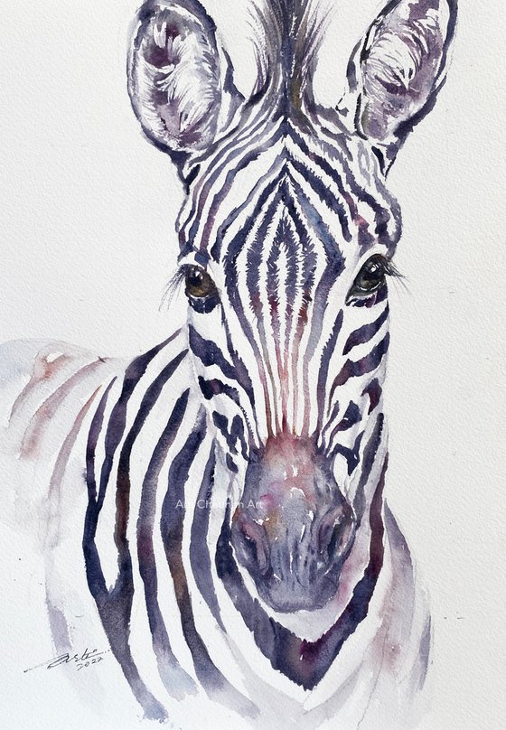 Baby Zebra_ Zina