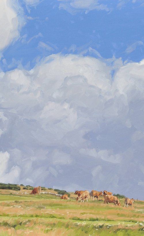 September 6, cows grazing on the Massif du Mézenc by ANNE BAUDEQUIN
