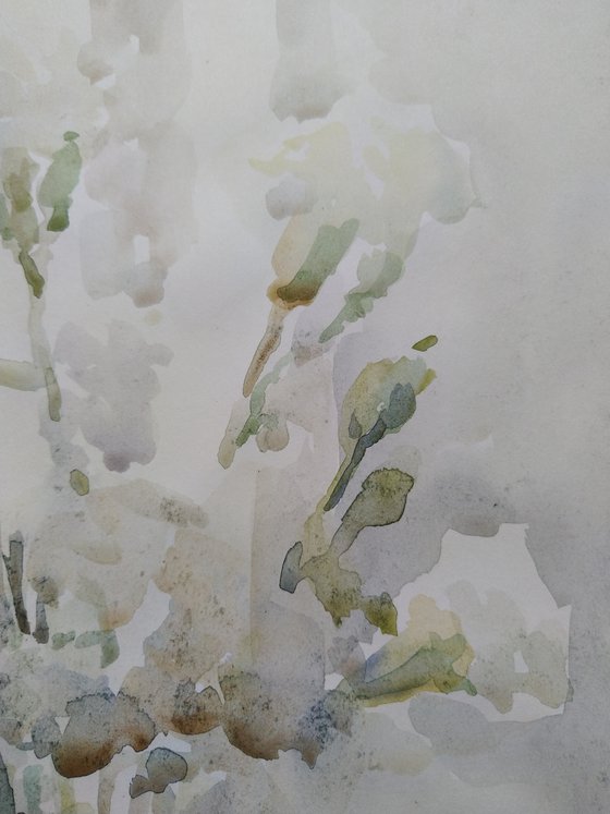 Carnations. Original watercolour painting.