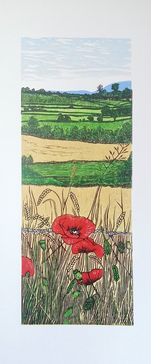 Poppies in the corn by Carolynne Coulson