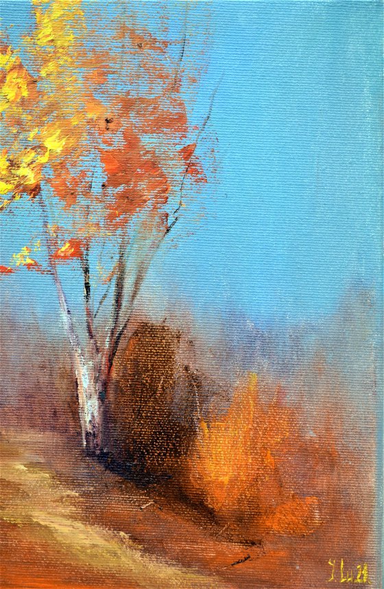 One warm day