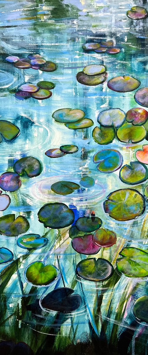 Water Lilies At Sunset 7 by Sandra Gebhardt-Hoepfner