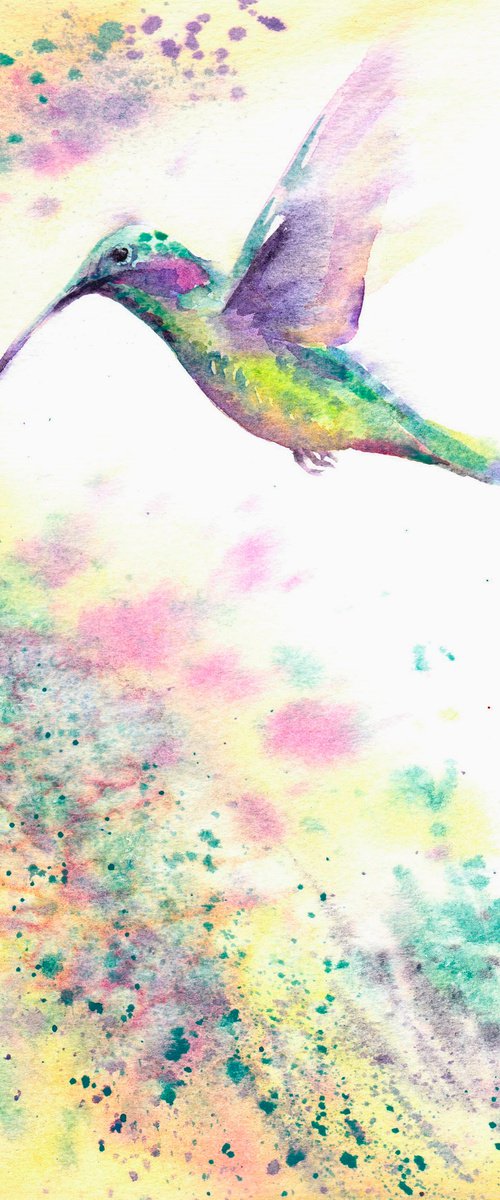 Hummingbird, Original watercolour painting by Anjana Cawdell