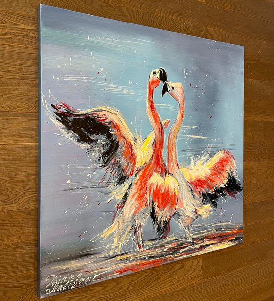 Dance of Pink Flamingoes