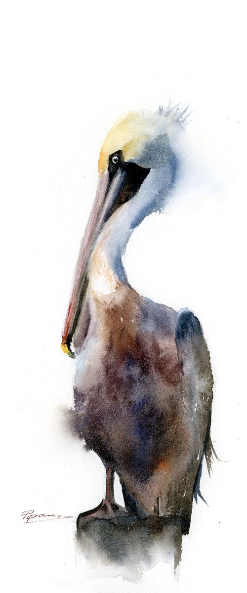 Brown Pelican by Olga Tchefranov (Shefranov)