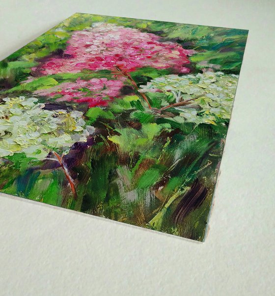 Hydrangea Painting