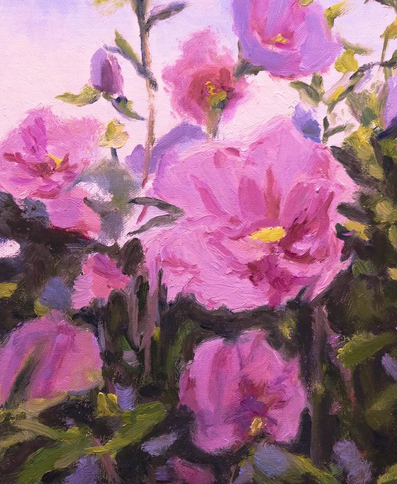 Purple Rose of Sharon Blossoms