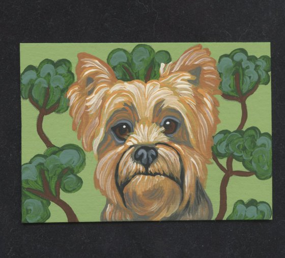 ACEO ATC Original Miniature Painting Yorkshire Terrier Yorkie Pet Dog Art-Carla Smale