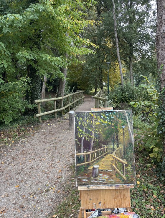 Autumn in Dutch forest