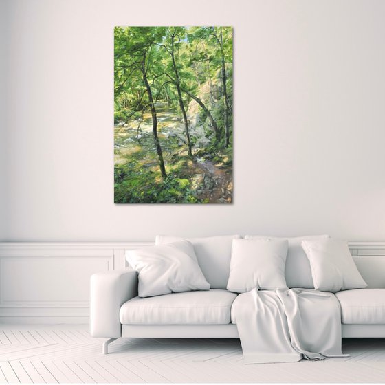 Trees by the river